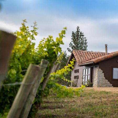Bed and Breakfast Bungalow Miramar & Jeronimo At Casa Marin Vineyards Cartagena  Zewnętrze zdjęcie